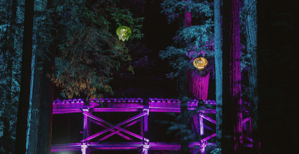 roaring-camp-sequoia-lights
