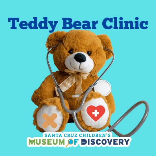 mod-teddy-bear-clinic