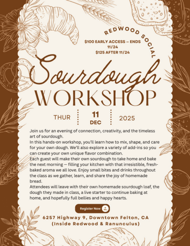 sourdough-workshop