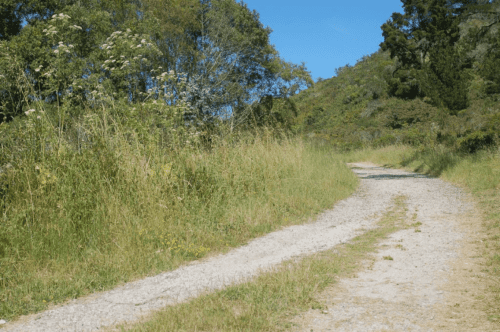 first-day-hike-burleigh-murray-ranch