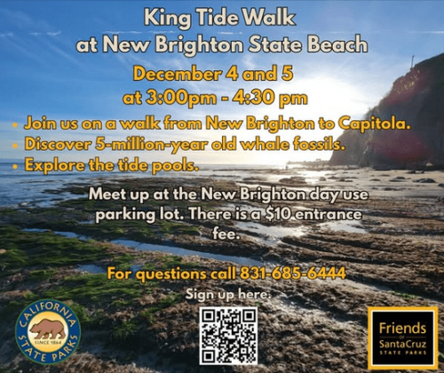 parks-new-brighton-beach-king-tides