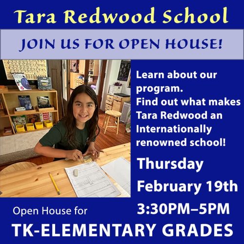 tara-redwood-open-house