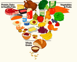 new-food-pyramid