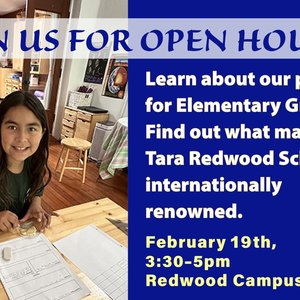 tara-redwood-school-open-house