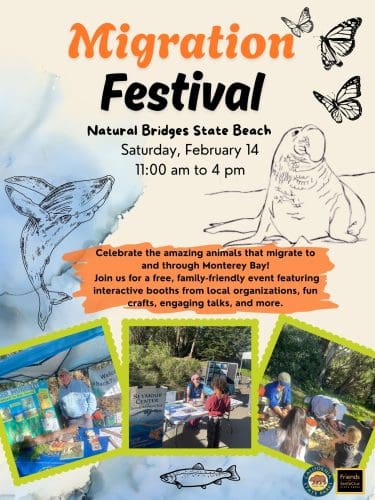 parks-natural-bridges-migration-festival