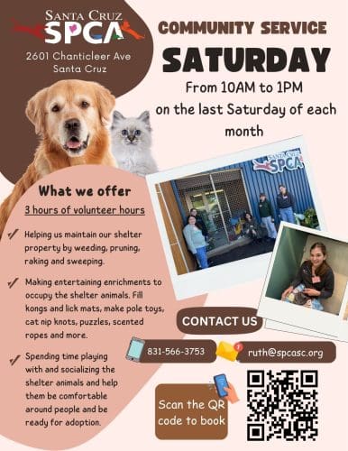 spca-community-service-saturday