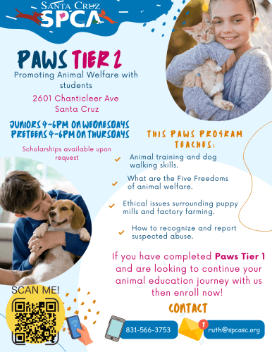 spca-paws-tier-2