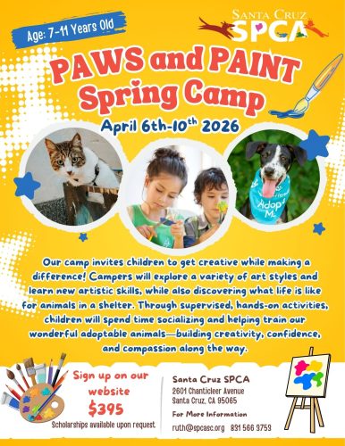 Santa-cruz-spca-spring-ca