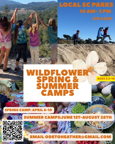 wildflower-spring-and-summer-camps