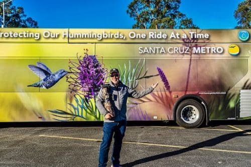 ucsc-arboretum-kevin-lohman-bird-photographs