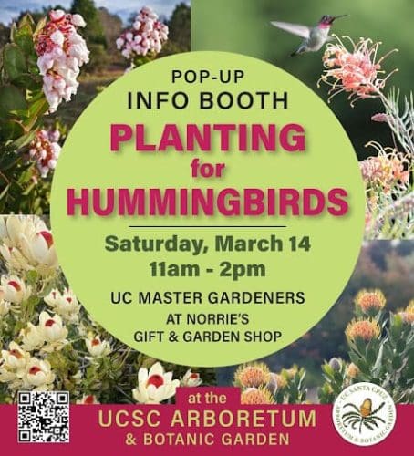 ucsc-arboretum- planting_hummingbirds_pop-up