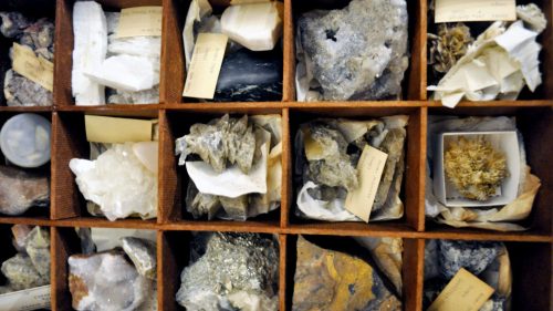 scmnh-rockin-popup-2