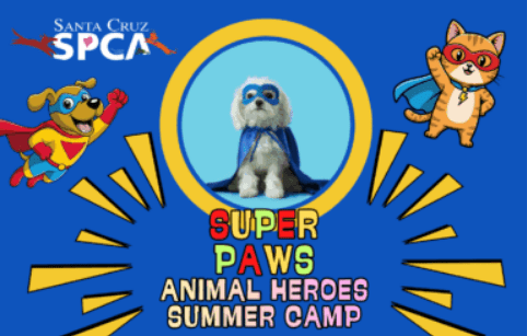Animal Heroes Camp with Santa Cruz SPCA Animal Heroes Camp with Santa Cruz SPCA
