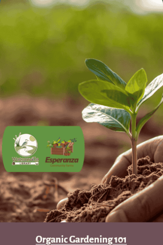 library-watsonville-organic-gardening-101