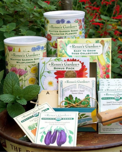 parks-quail-hollow-renee-easy-gardens