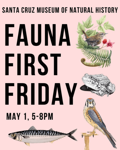 scmnh-fauna-first-friday