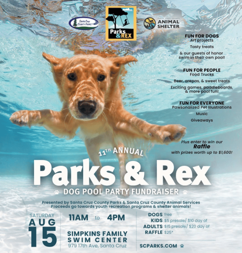 parks-and-rex-pool-party-aug-15