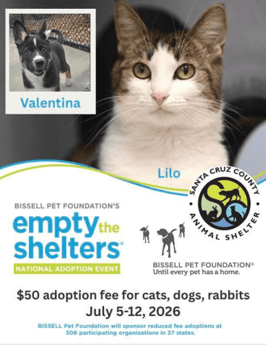 sc-animal-shelter-empty-the-shelters