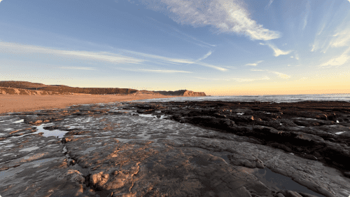 scmnh-scotts-creek-tidepooling
