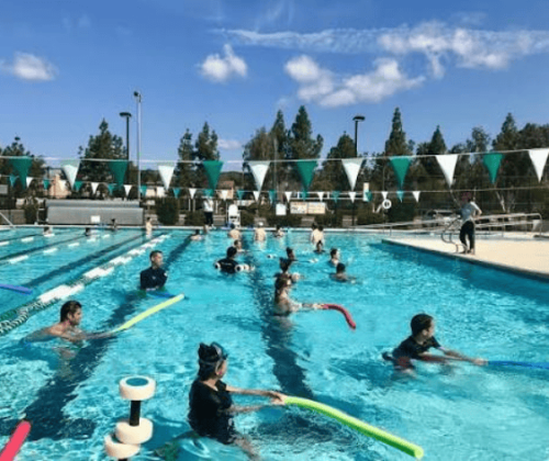 parks-harvey-west-pool