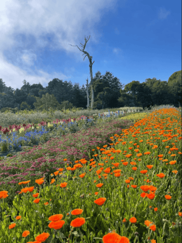 permaculture-workshop