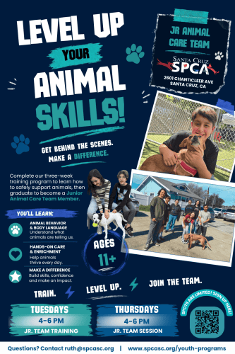 jr-animal-care-team-fall-2026