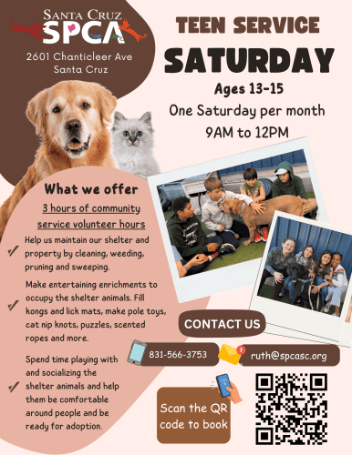 spca-teen-service-saturday